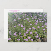 6月はがき ポストカード (正面/裏面)