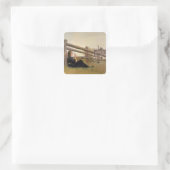 6月ガール吹ズ・ダンデロン種子， 1899 スクエアシール (バッグ)