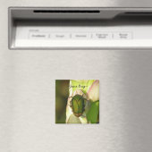 6月バグ マグネット (インサイチュ (食洗機))