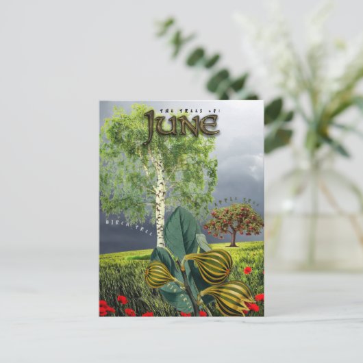 6月木フィグアップル樺の木 ポストカード (スタンド正面)