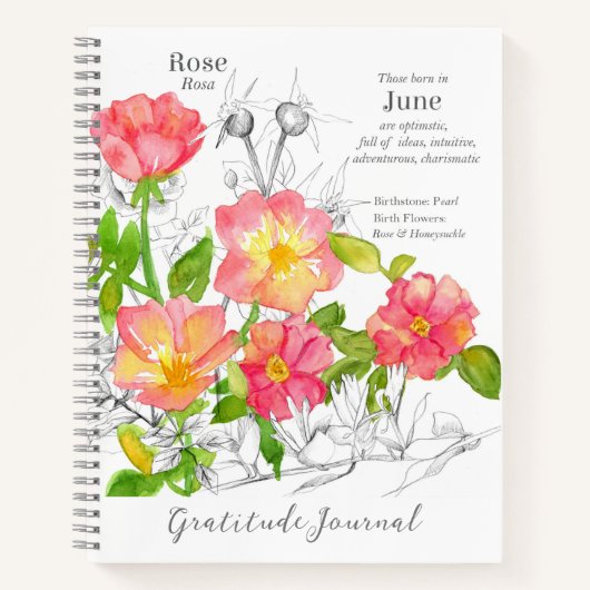 6月誕生日ピンクワイルドバラ感謝ジャーナル ノートブック (正面)