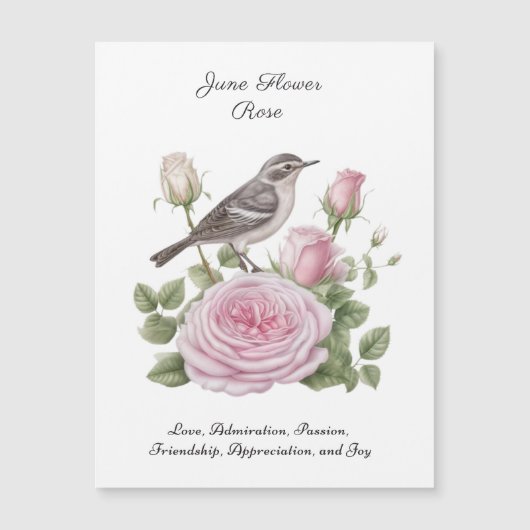 6月誕生月花バラエレガント誕生日 (正面)