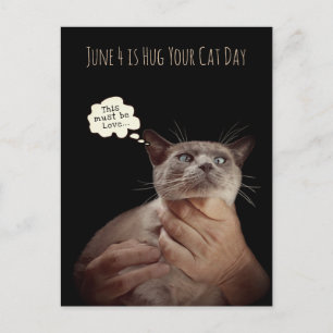 6月4日は猫を抱っこする日 ポストカード