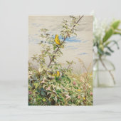 6月 | フィデリアブリッジ (スタンド正面)