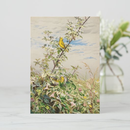 6月 | フィデリアブリッジ (スタンド正面)