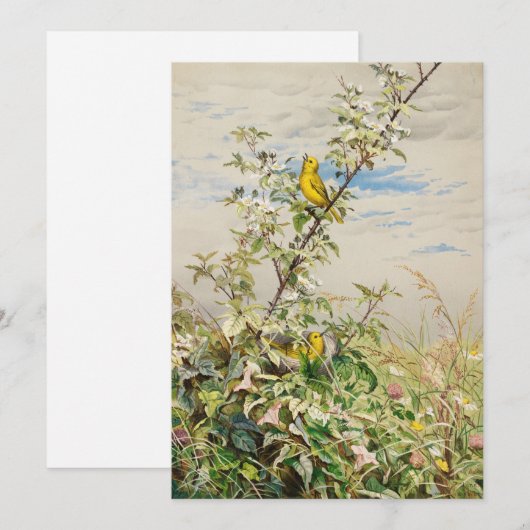 6月 | フィデリアブリッジ (正面/裏面)