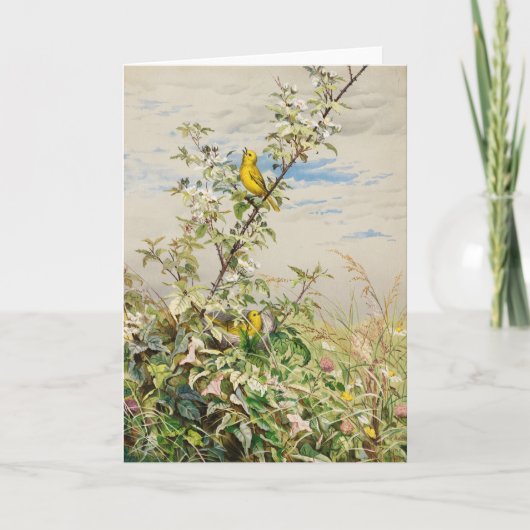 6月 | フィデリアブリッジ カード (正面)