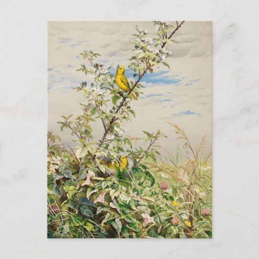 6月 | フィデリアブリッジ ポストカード (正面)