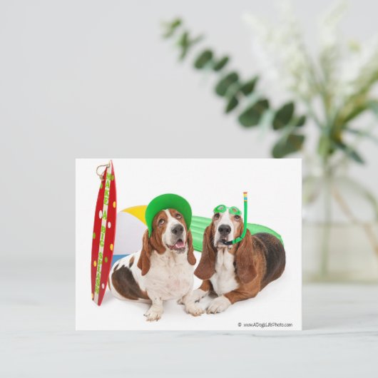 6月 ポストカード (スタンド正面)