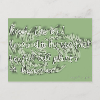 6月 ポストカード