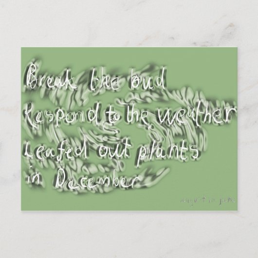 6月 ポストカード (正面)