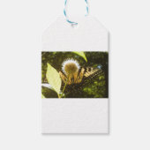 6月 モナーク 花 ギフト タグ (正面)