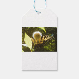 6月 モナーク 花 ギフト タグ