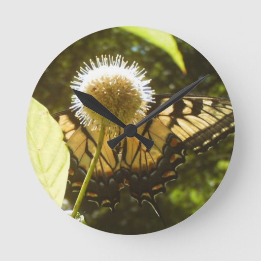 6月（昆虫）オオカバマダラ、モナークフラワークロック ラウンド壁時計 (正面)