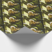 6月（昆虫）オオカバマダラ、モナークラッピング紙 ラッピングペーパー (角)