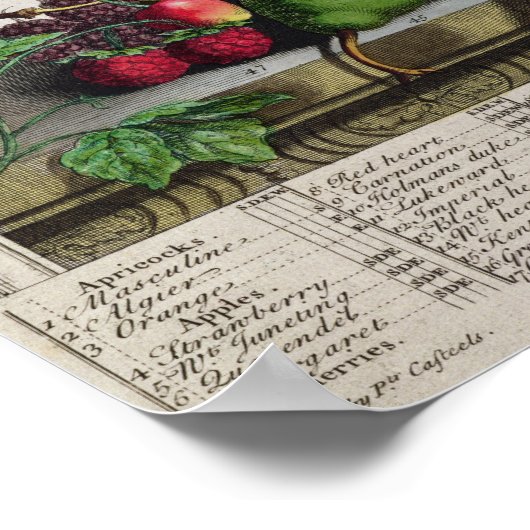 6月， '12ヶ月の果実' ポスター (角)