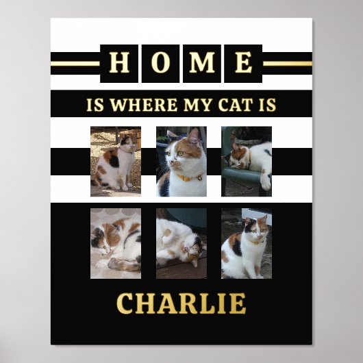 6枚の写真の名前動物愛好家猫白黒 箔ポスター (正面)