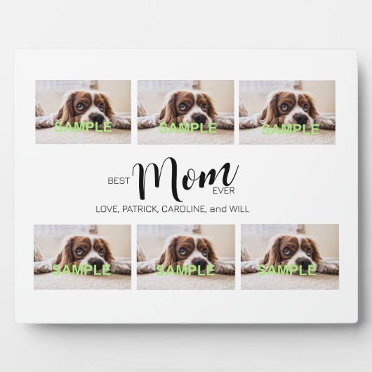 6枚フォトコラージュTabletopプラーク（イーゼル付） フォトプラーク (正面)