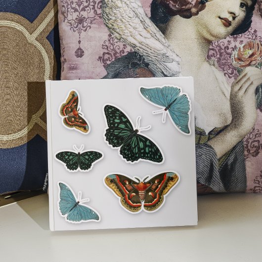 6点セット ヴィンテージカラフル蝶の美しい輪郭 シール