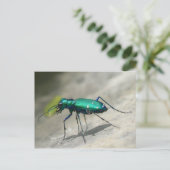 6点模様タイガービートル葉書 – カスタマイズ ポストカード (スタンド正面)