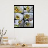 6白い蘭の花のポスタープリント ポスター (キッチン)