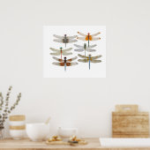 6種のトンボのポスター ポスター (キッチン)