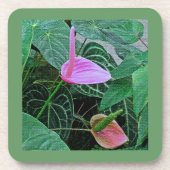 6種類のプラスチック懸命コースターの「TWO ANTHURIUM」セット コースター (正面)