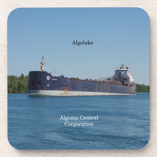 6種類の懸命プラスチック製コースターのアルゴラクセット コースター (正面)