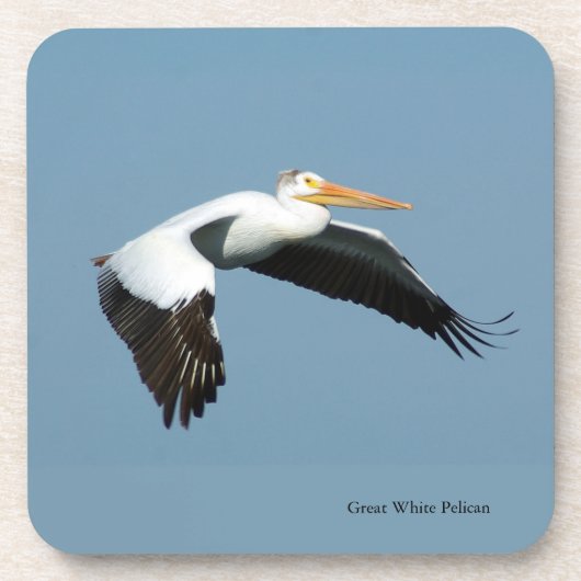 6素晴らし種のプラスチック製コースターの白いペリカンセット コースター (正面)