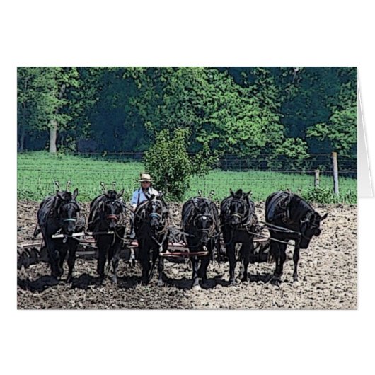 6美しい荷車を引く馬の仕事場すべての行事 (正面横)