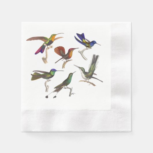 6羽の美しいハミングバード 縁ありカクテルナプキン (正面)