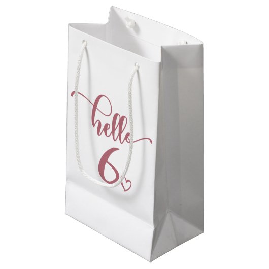 6誕生日ガールズハロー6かわいい6歳の子供 スモールペーパーバッグ (正面アングル)