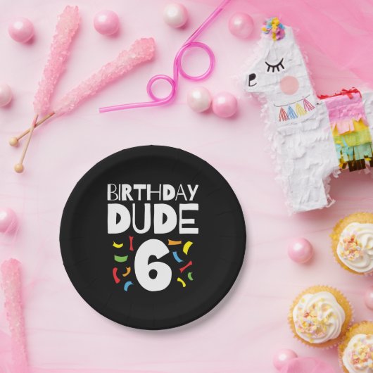 6誕生日6年オールドボーイパーティー誕生日Dude 6 ペーパープレート (パーティー)