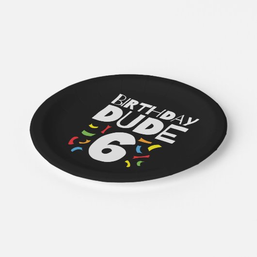 6誕生日6年オールドボーイパーティー誕生日Dude 6 ペーパープレート (アングル)