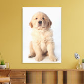 6週間のポートレートゴールデンレトリバーの子犬。 キャンバスプリント (インサイチュ (リビング))