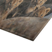 6週間のライオンの子が座って三雄 カッティングボード (角)