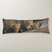 6週間のライオンの子が座って三雄 ボディピロー (裏面)