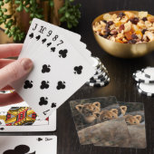 6週間の古いライオンの子の着席のトリオ トランプ (インサイチュ)