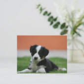 6週間コリ縁どー ポストカード (スタンド正面)