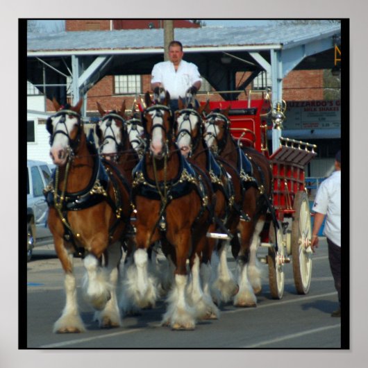 6馬ヒッチプリント ポスター (正面)