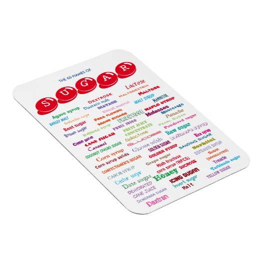 60名 マグネット (右側)