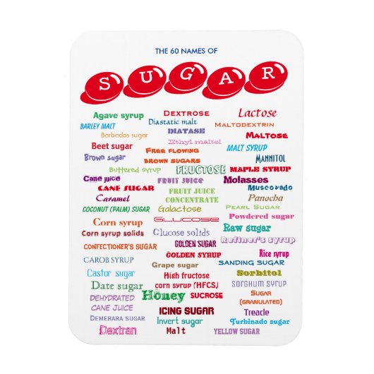 60名 マグネット (縦)