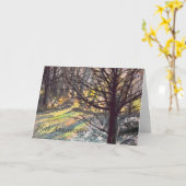 60周年おめでとうカード 木漏れ日 カード (黄色い花)