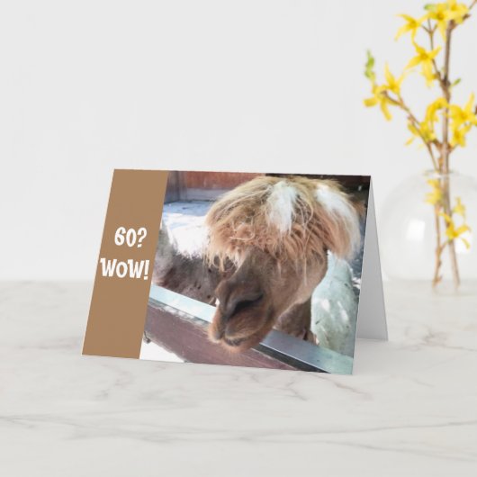 **60番目の誕生日**懸命時間が信じあります！ カード (黄色い花)