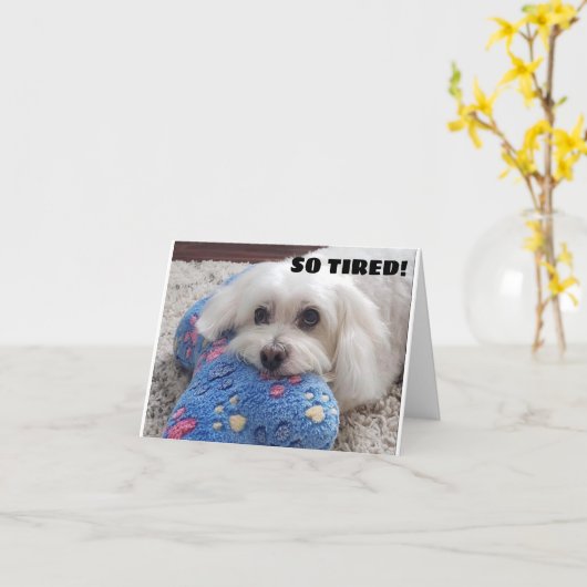 *60番目の誕生日* HA HA HA (おもしろい犬・ユーモア) カード (黄色い花)