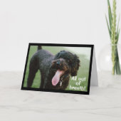 **60祝誕生日** カード (正面)