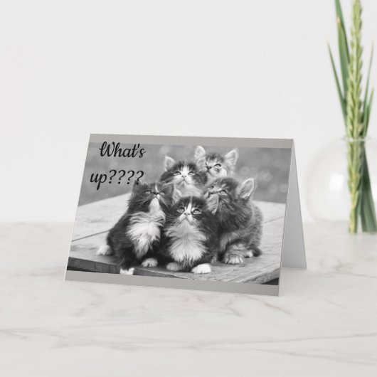 *60誕生日の願い*何が起こったの?お前の年齢だ!カード カード (正面)