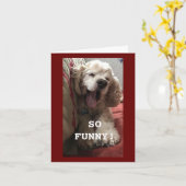 **60誕生日ウィッシュCOMEDICスパニエル犬**カード カード (黄色い花)