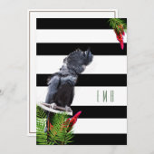 60誕生日オウム白黒ストライプ誕生日 招待状 (正面/裏面)