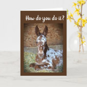 **60誕生日**かわいい子馬のユーモア! カード (黄色い花)